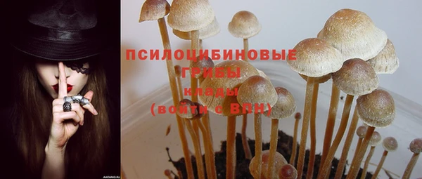 синтетический гашиш Елизово