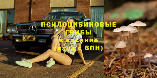 СК Заволжье