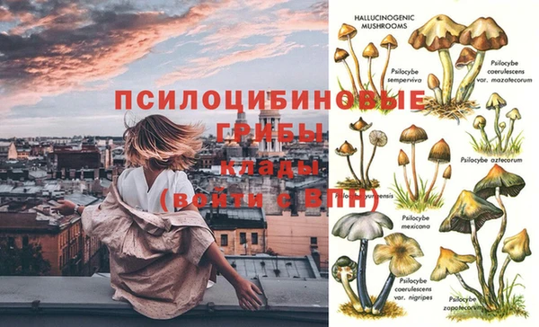 бошки Заводоуковск