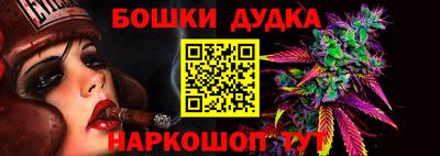 стафф Дубна