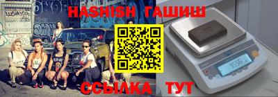 стафф Дубна