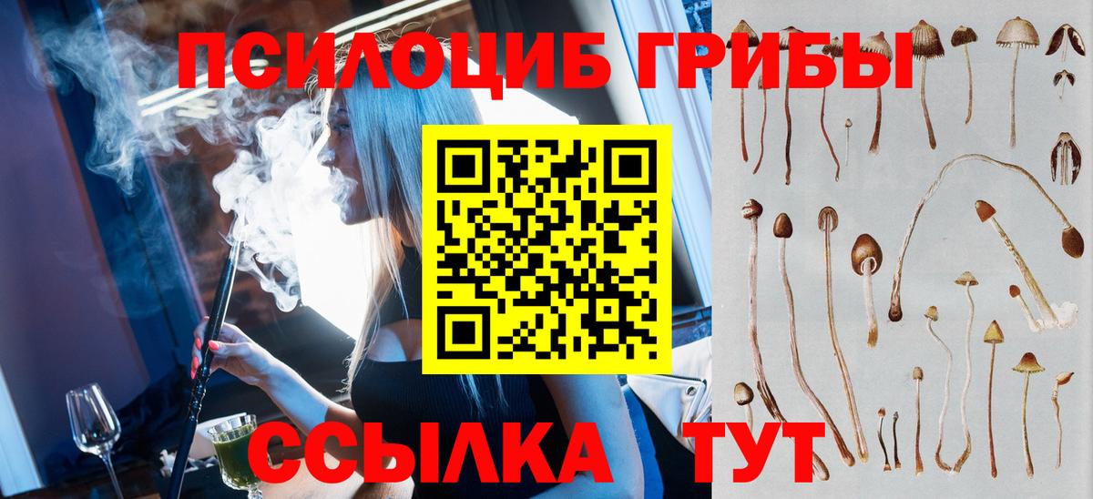 как найти наркотики  Вход с VPN  Волжск  Галлюциногенные грибы Psilocybe  Галлюциногенные грибы Cubensis 