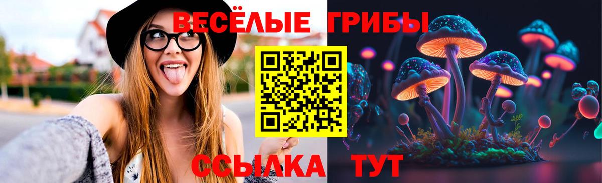 Галлюциногенные грибы Psilocybe  Волжск 